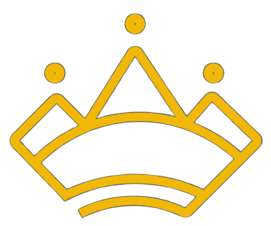 Diginova International Yellow Logo